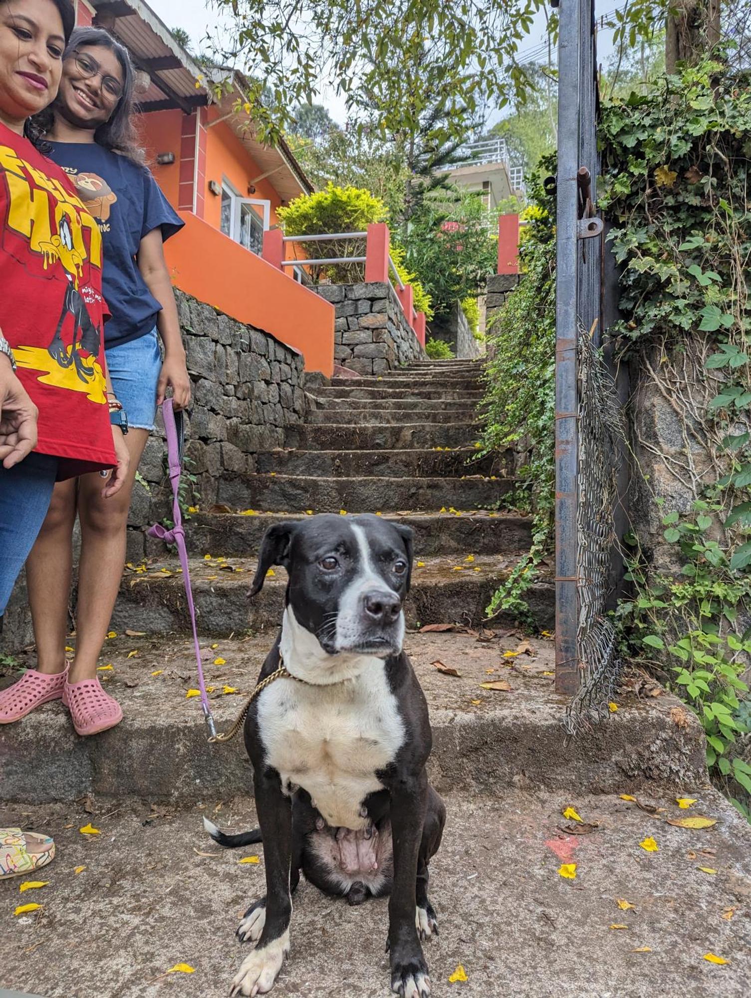 Ghar Homestay, Kotagiri Esterno foto