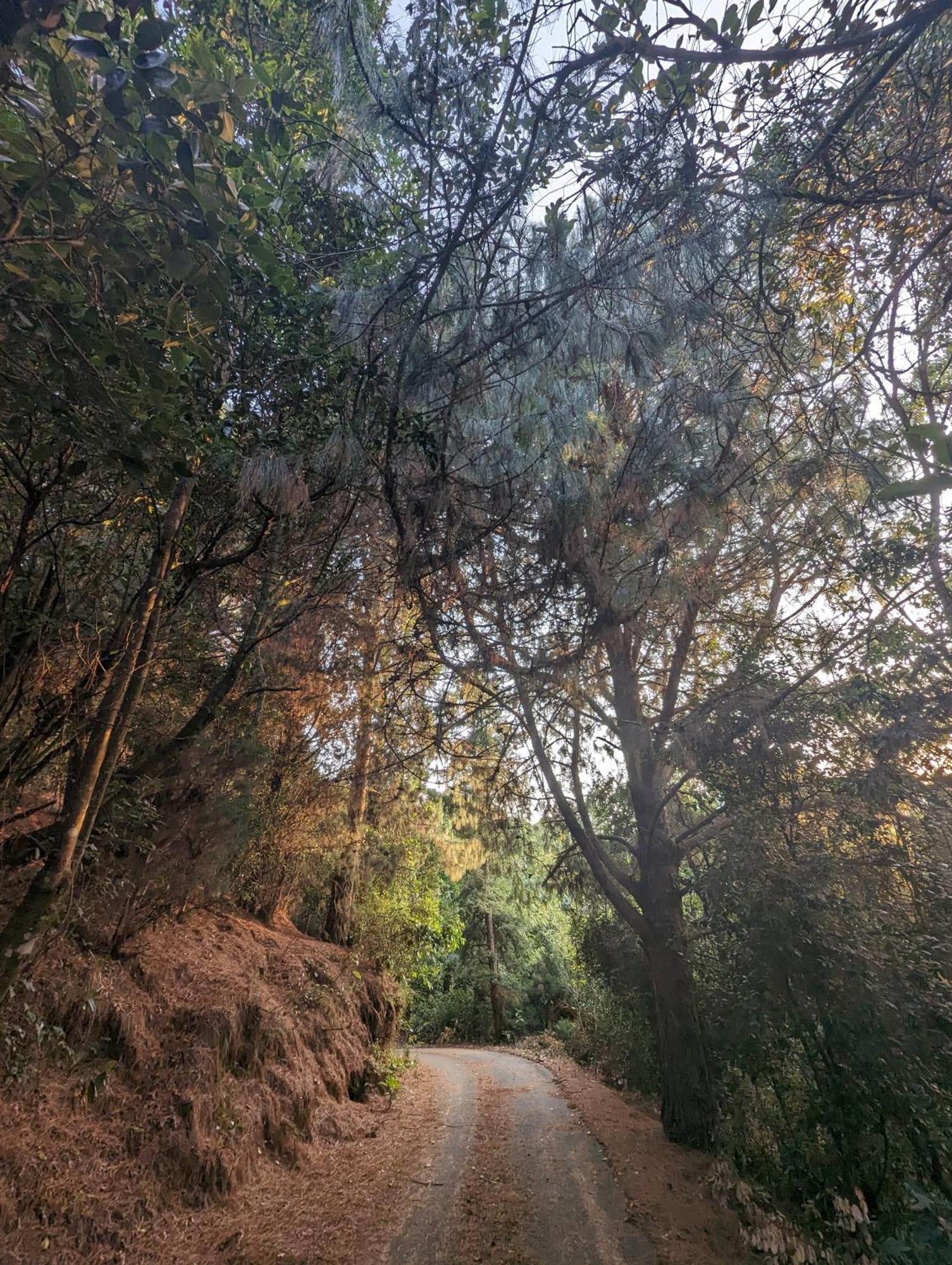 Ghar Homestay, Kotagiri Esterno foto