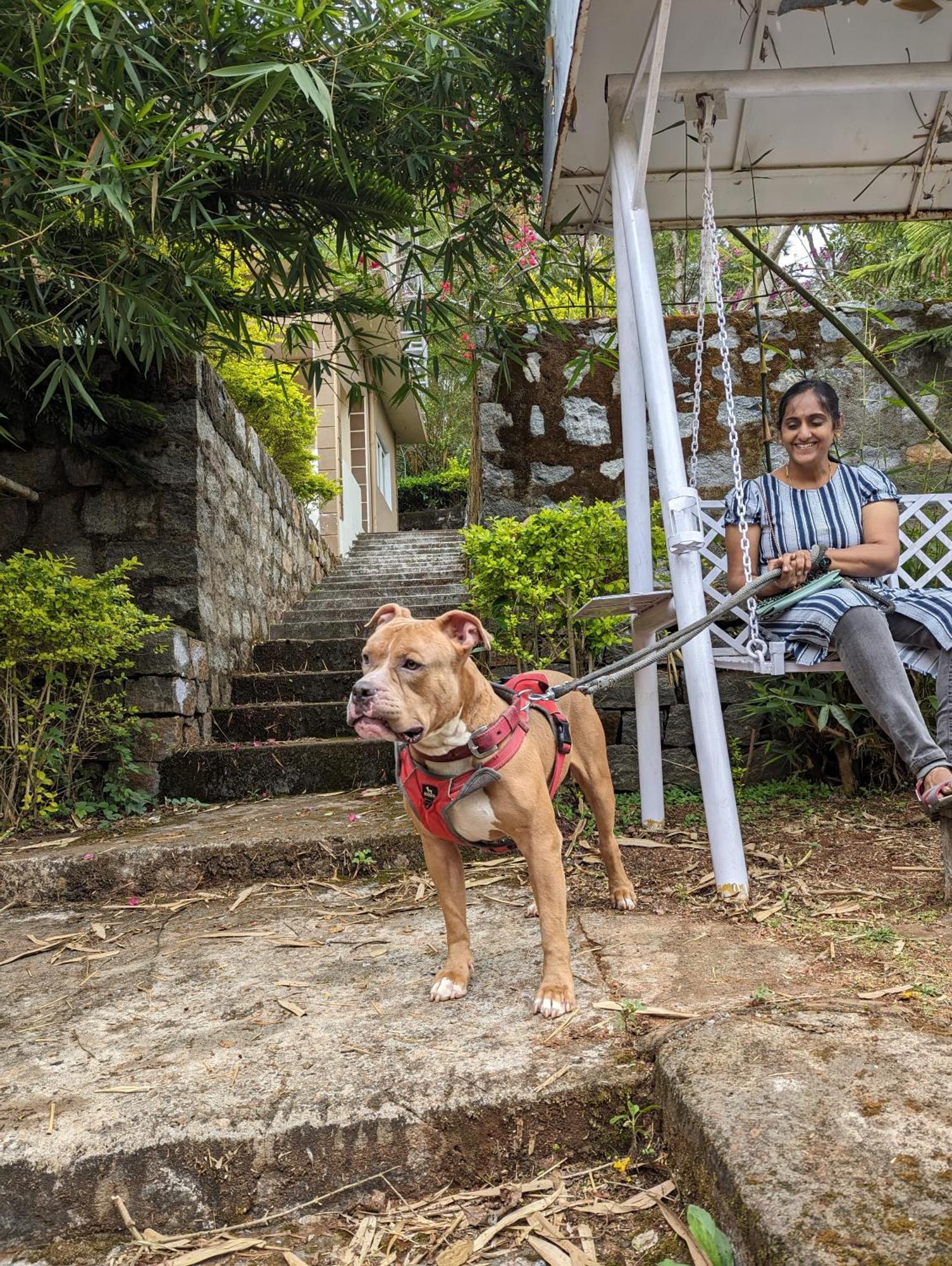 Ghar Homestay, Kotagiri Esterno foto