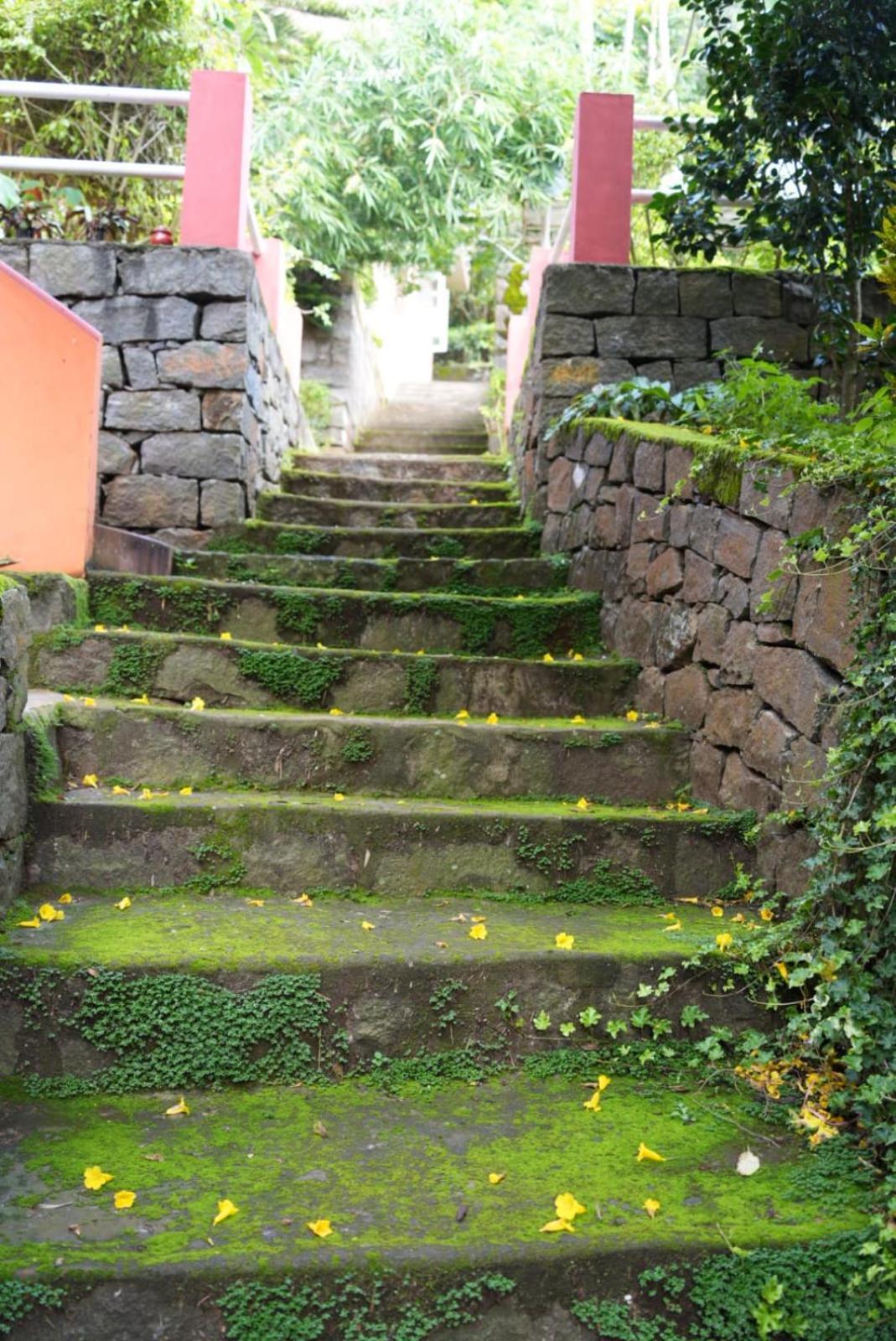Ghar Homestay, Kotagiri Esterno foto